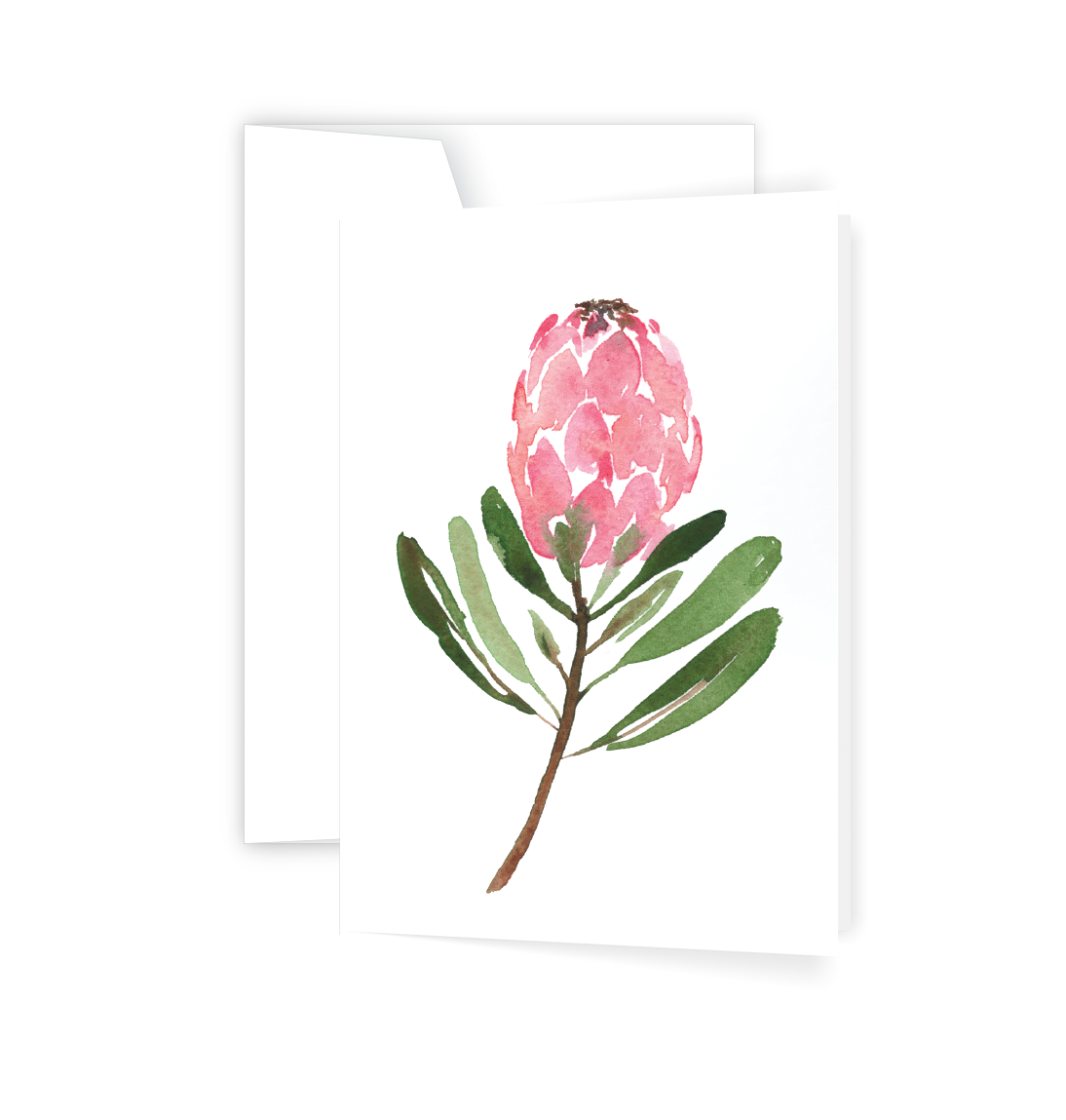 Protea Card (6)