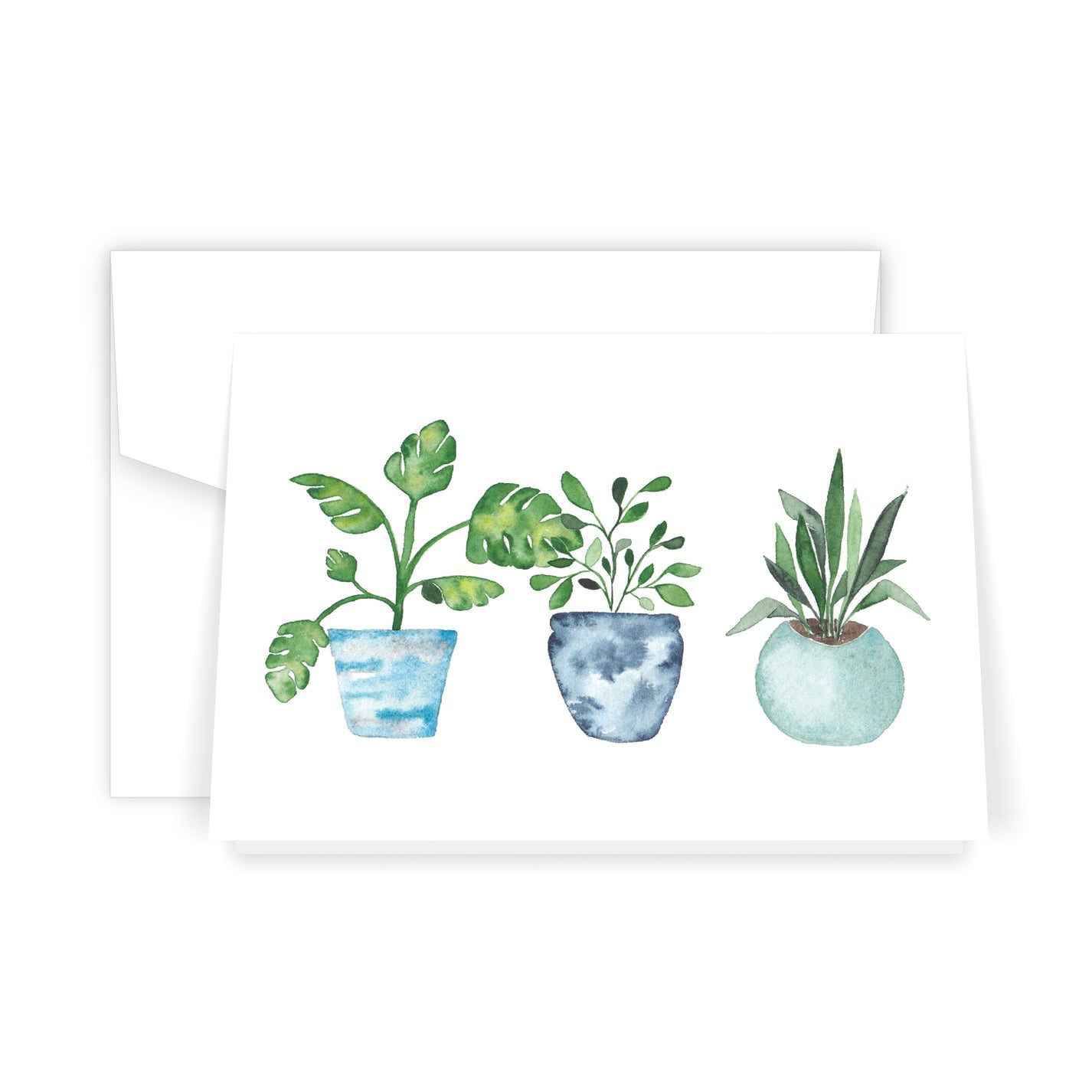 Plants Card (6)