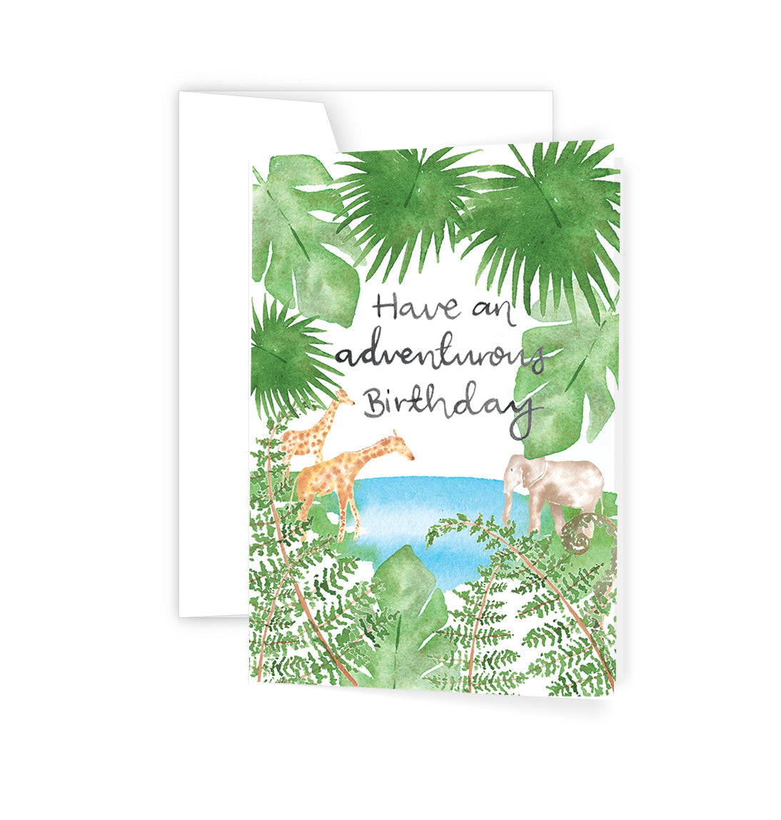 Adventurous Birthday Card (6)