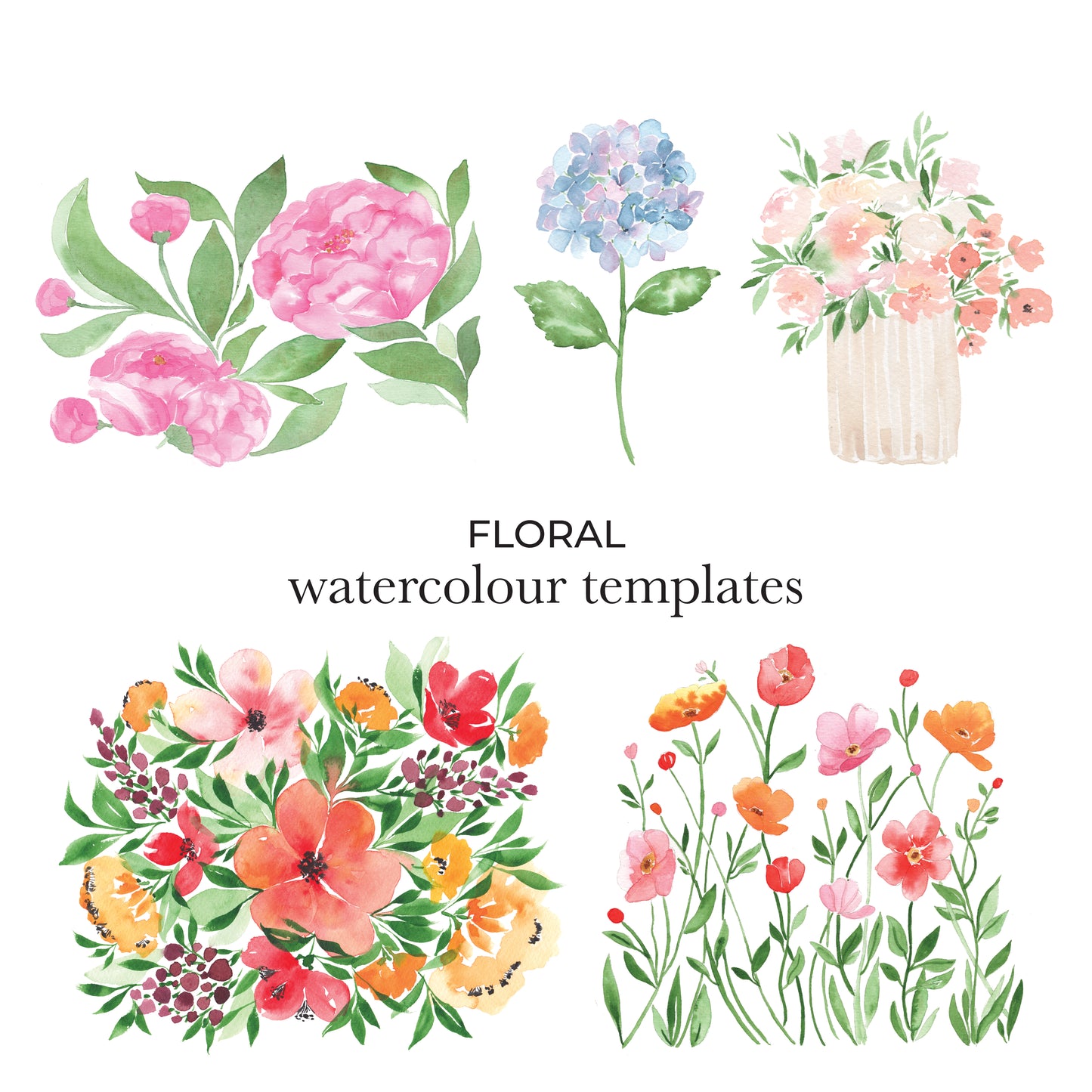 Watercolour Templates - Floral (2)
