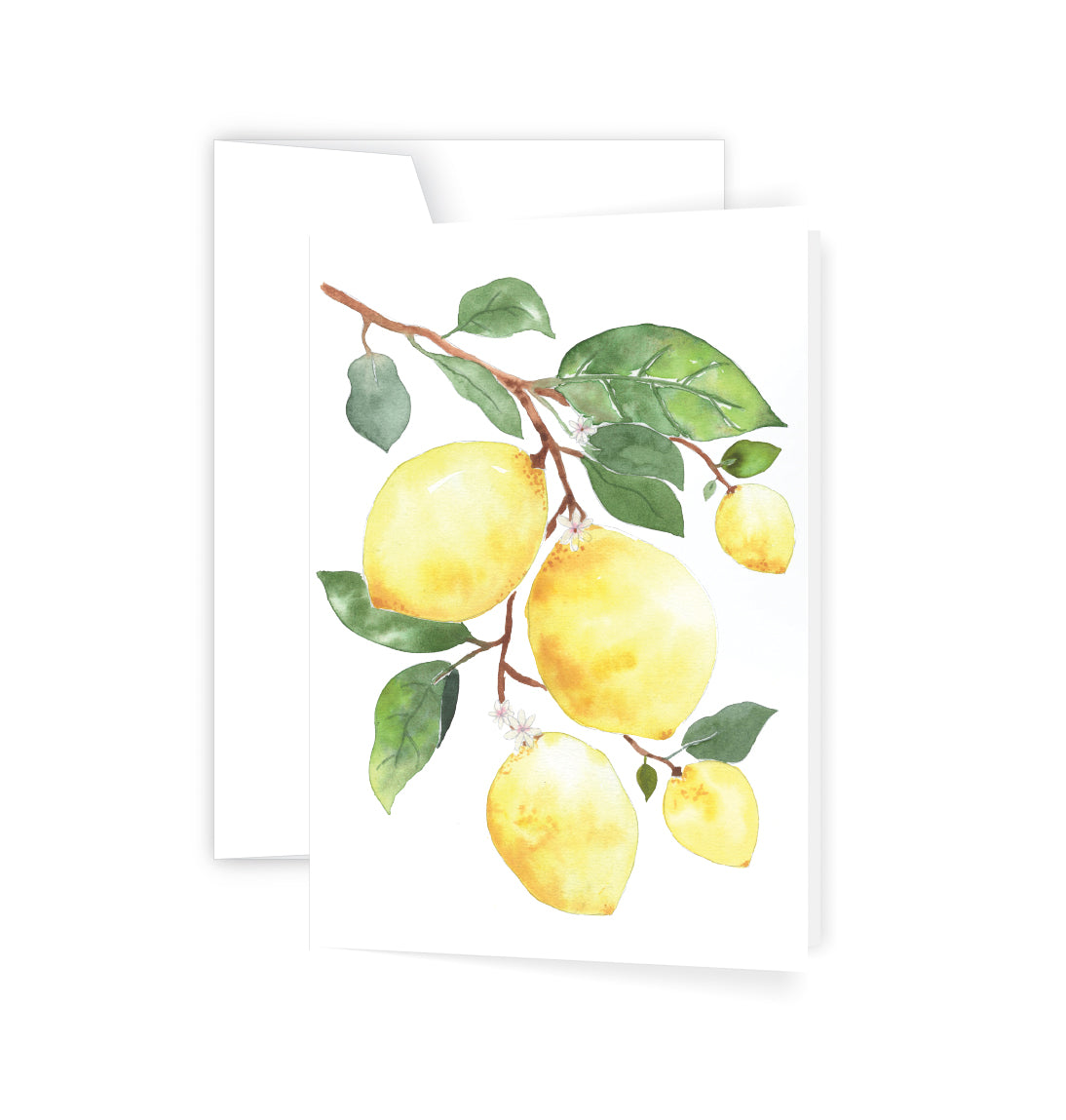 Lemons (6)