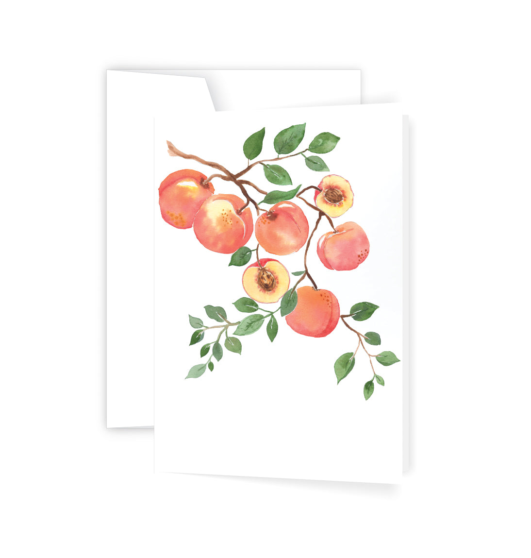 Peaches (6)
