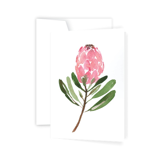Protea Card (6)